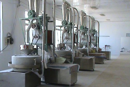 4�Mʯĥ����O��