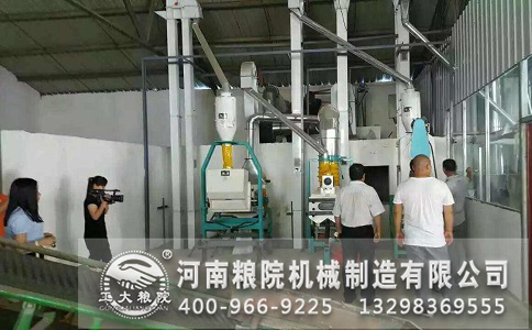 全自動(dòng)石磨面粉機(jī)